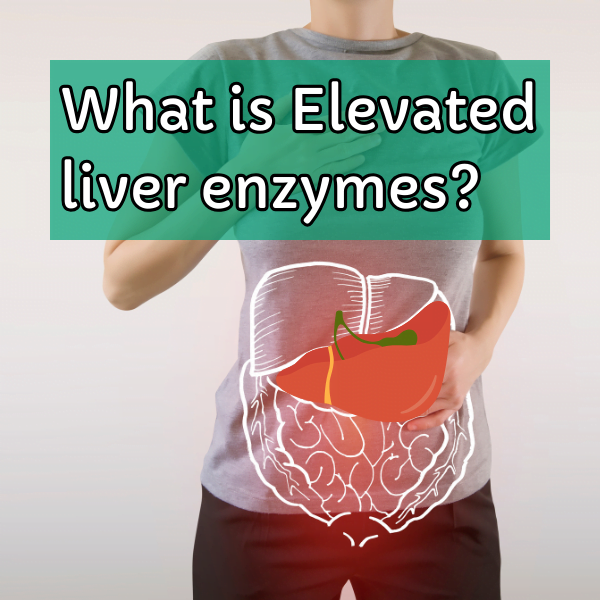 Elevated liver enzymes