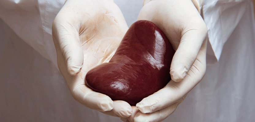 In-Which-Situations-is-Kidney-Transplantation-Performed