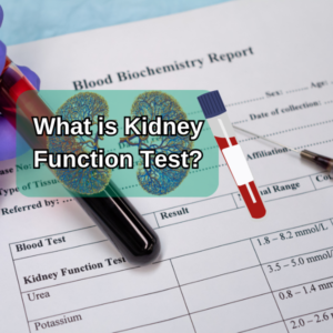 Kidney Function Test