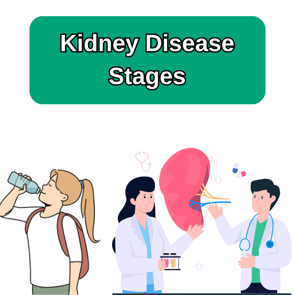 stages of kidney disease