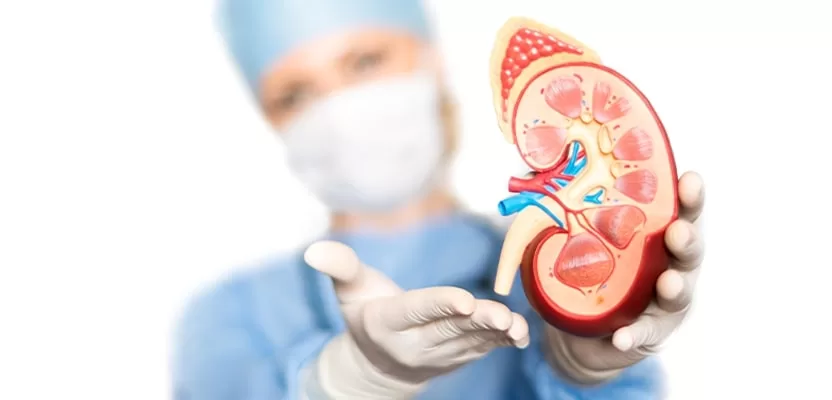 kidney transplant in turkey